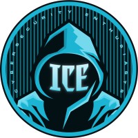 ICE Digital Security